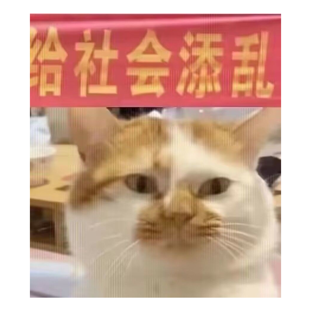 猫猫鹿头