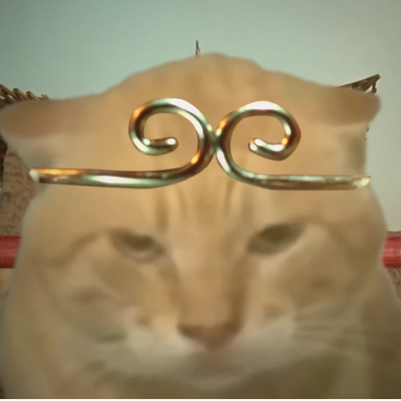 节奏哈基宝形态