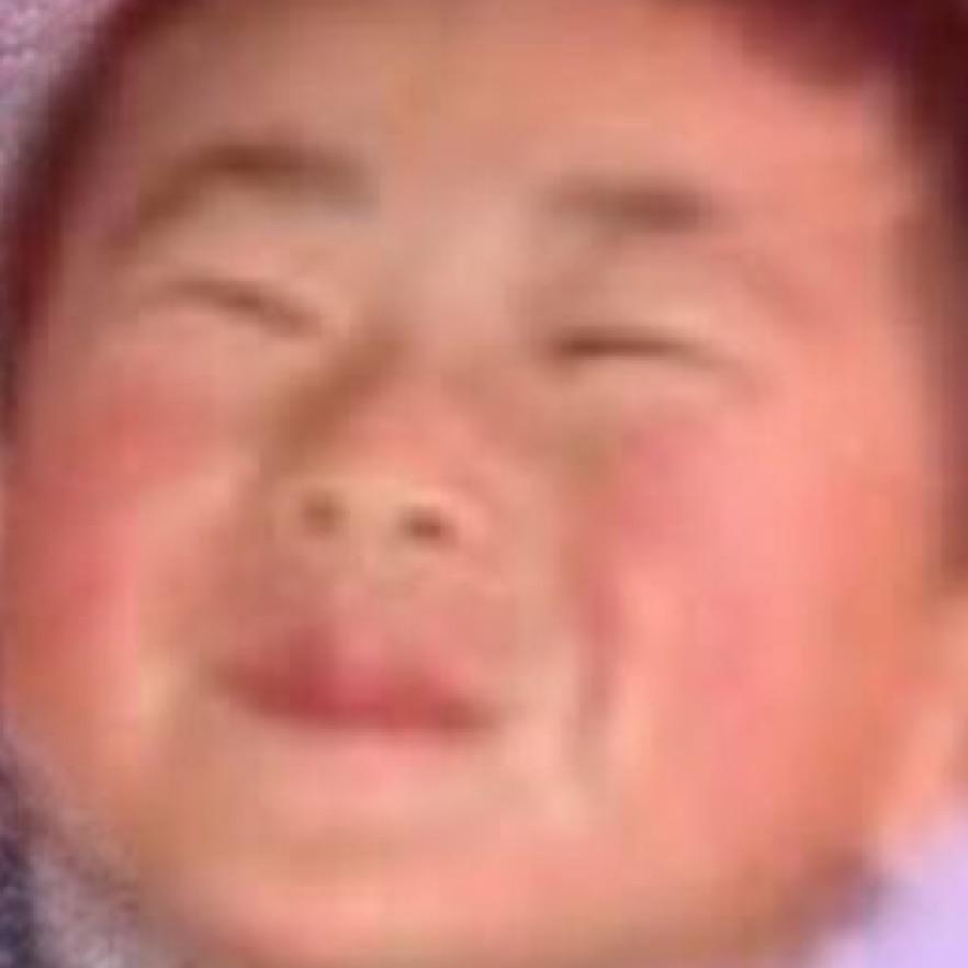 楠君