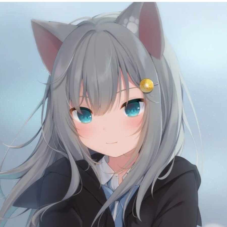 问道的小猫丢了