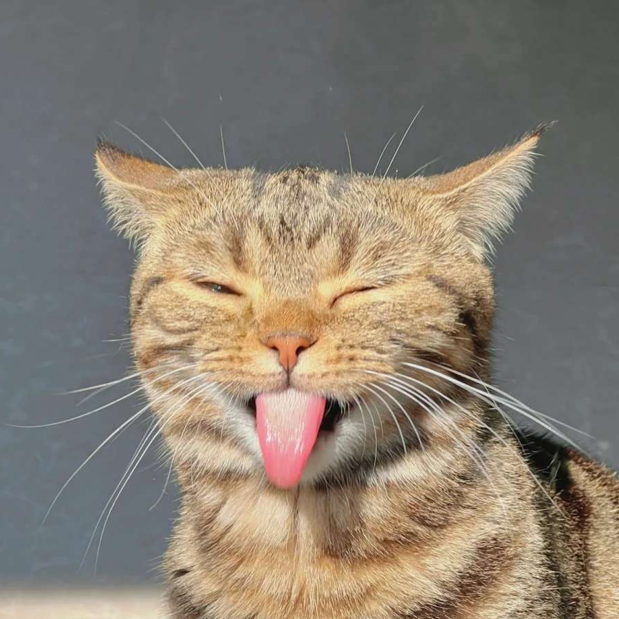 略