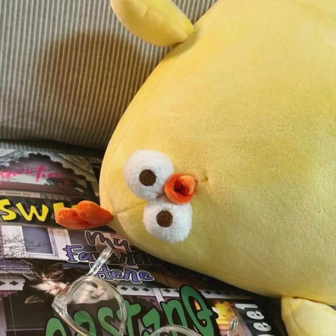 惩呈
