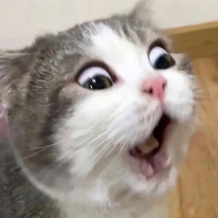 灬灬