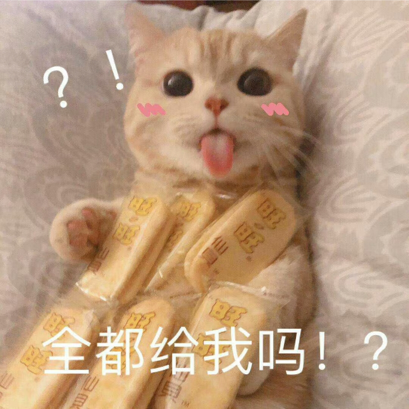 夜明