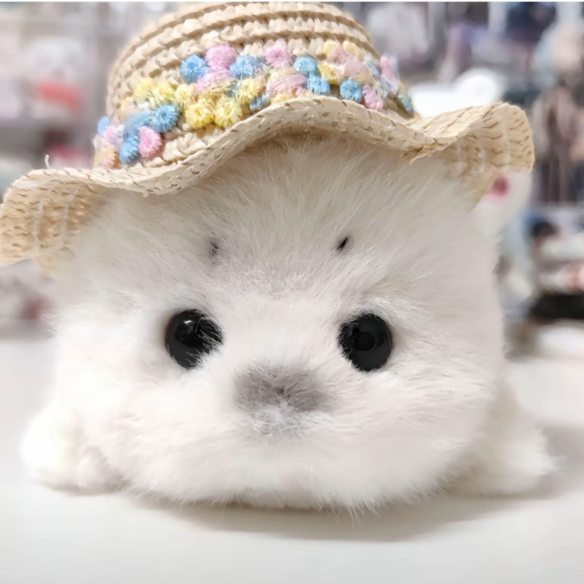 晴