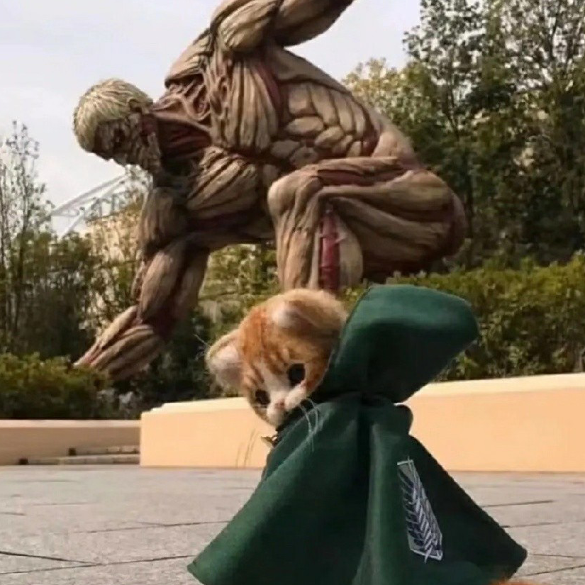 江月何年初照人