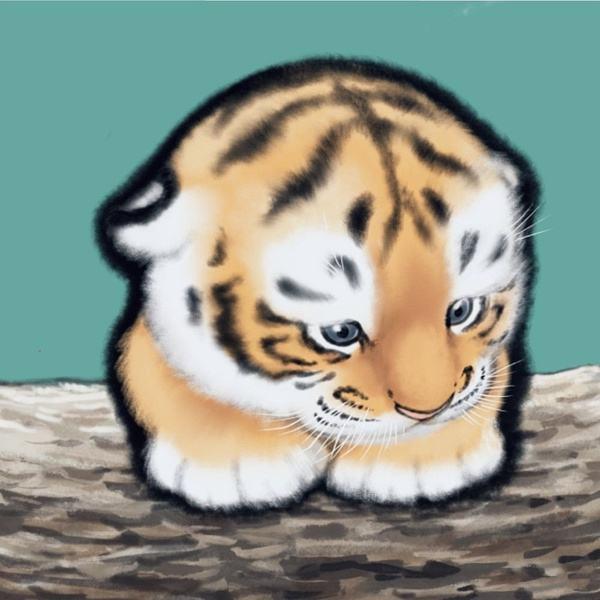 不不不