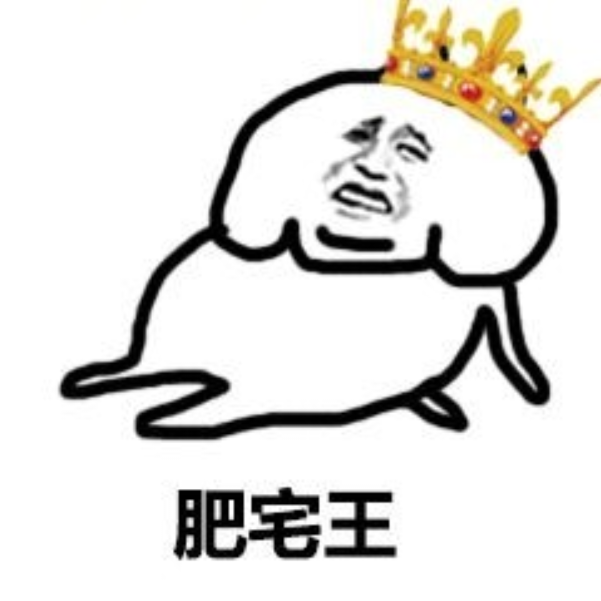 究极快乐宅神