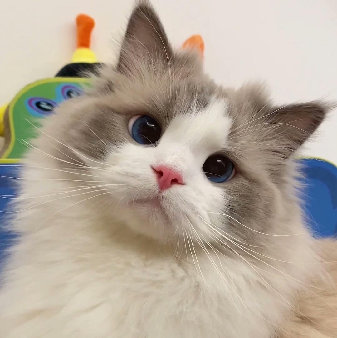睡不饱