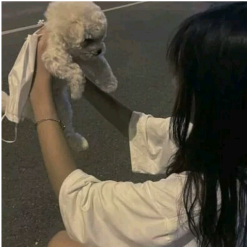 恸.