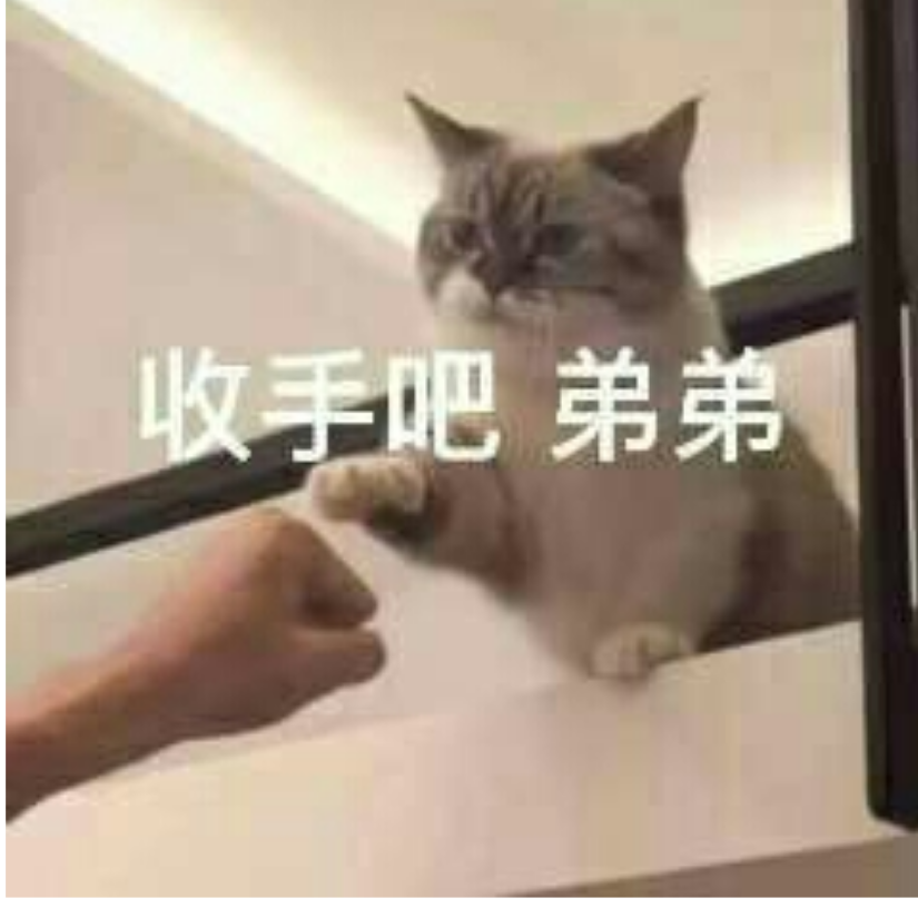 不错子
