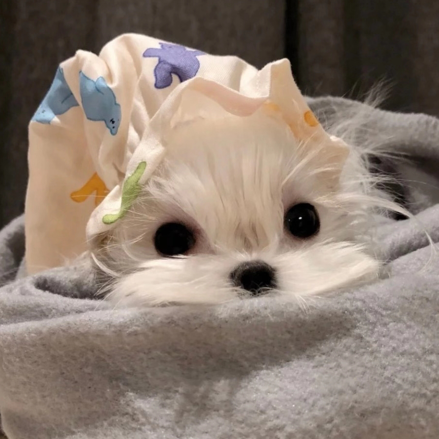 霍然而愈