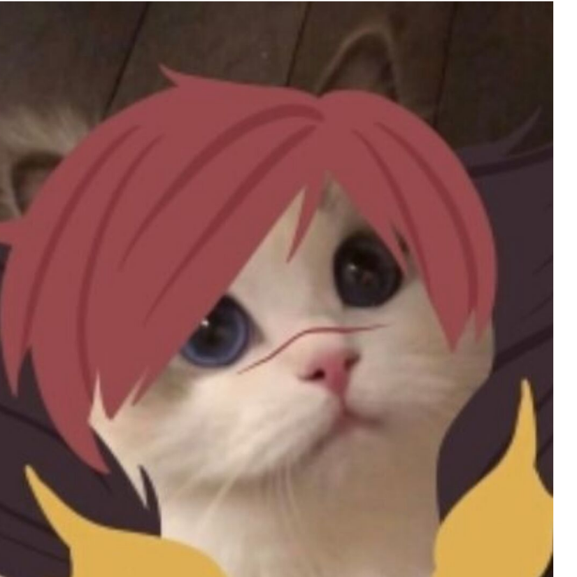 User430408947