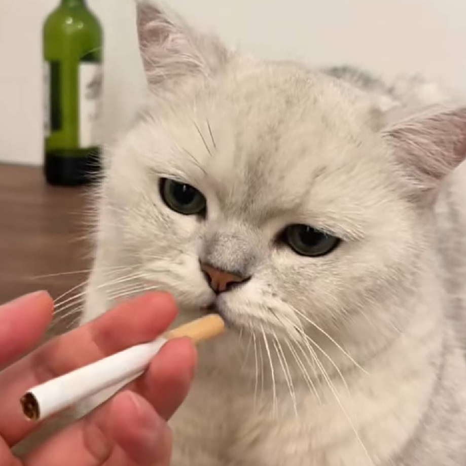 呜呜呜呜呜