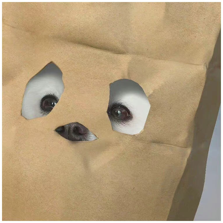 王大人