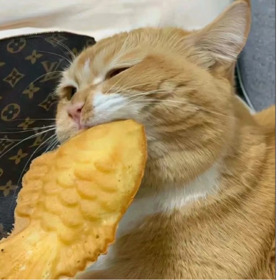 曙光