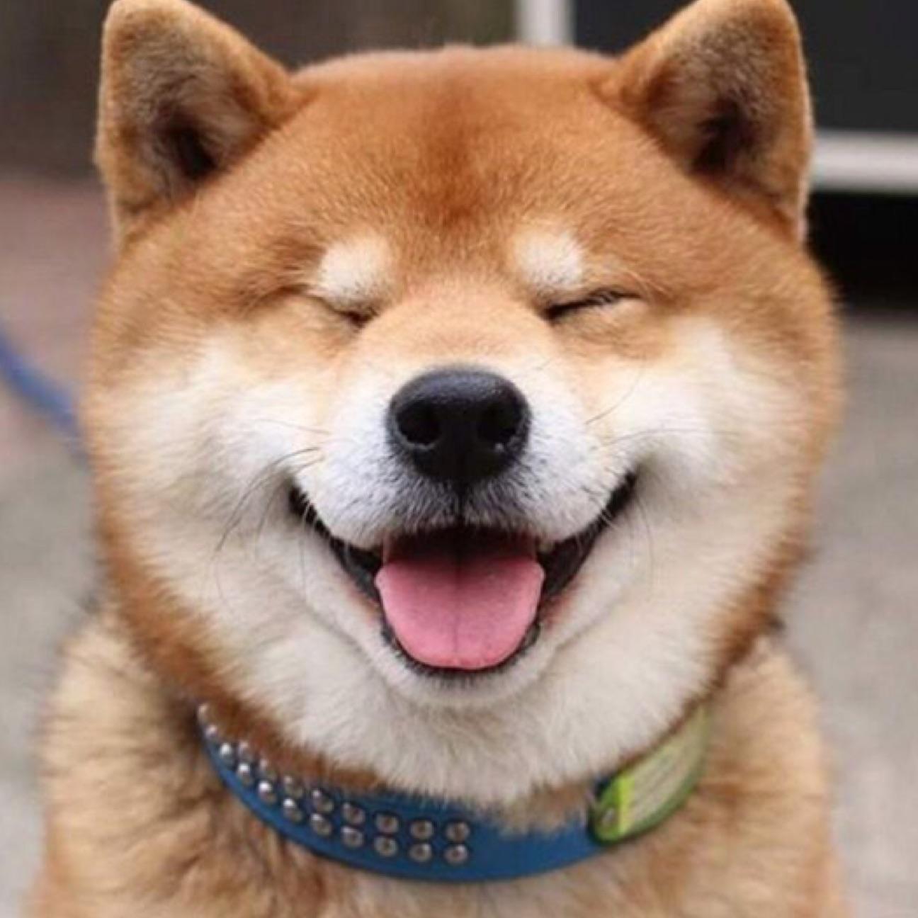 柴狗新之助