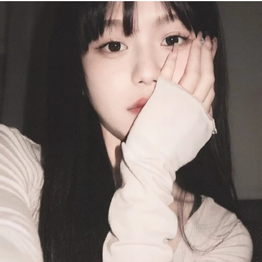 鸽子