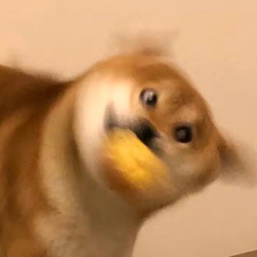 小面包