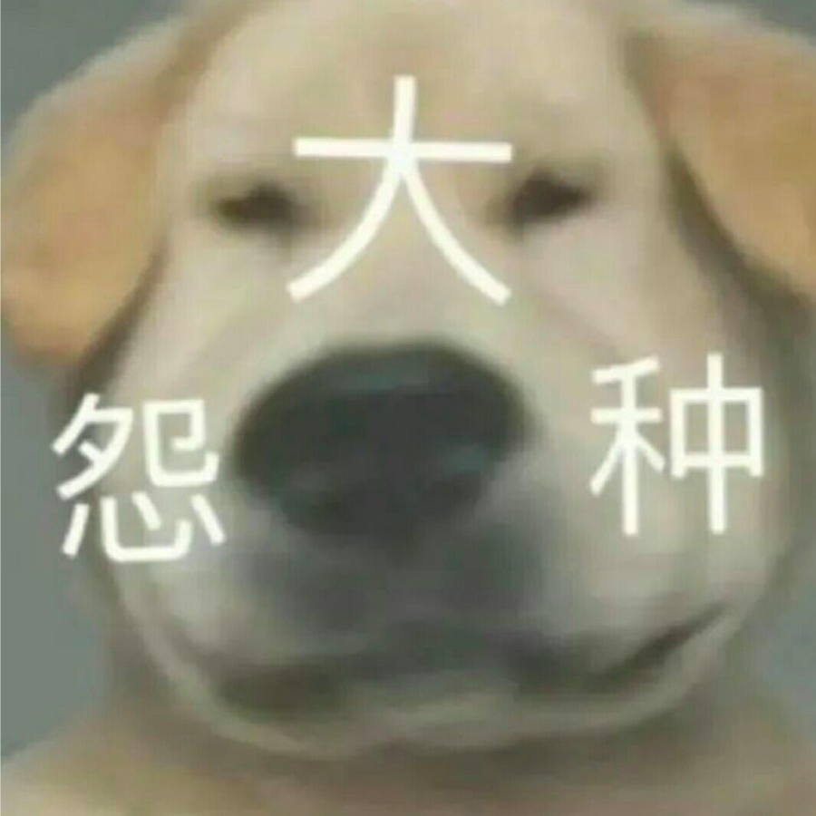 张宇琪