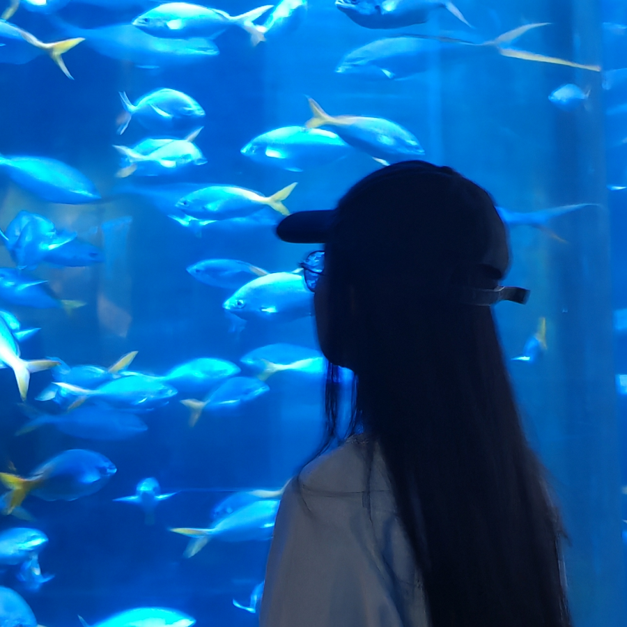 彩虹🌈