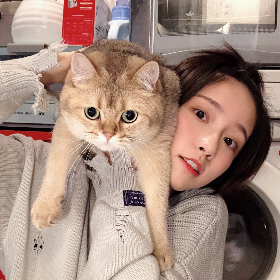 狗哥不吃狗粮