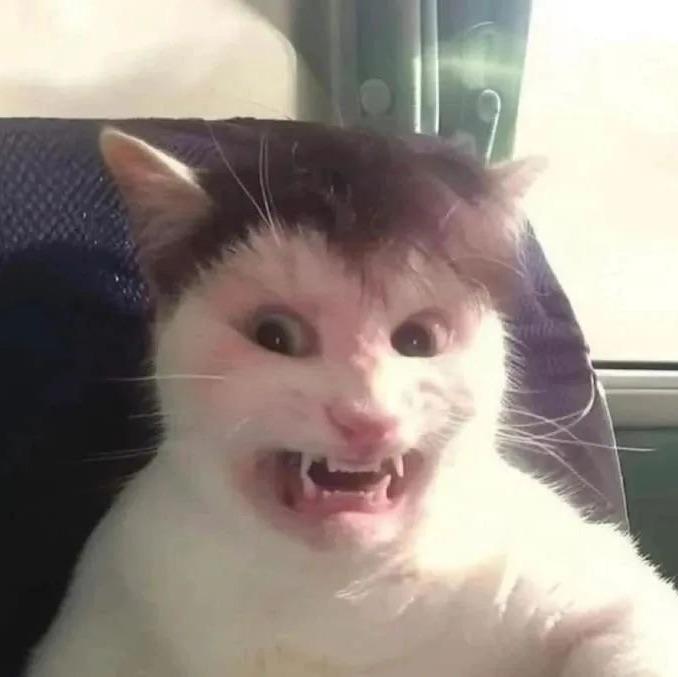 万万