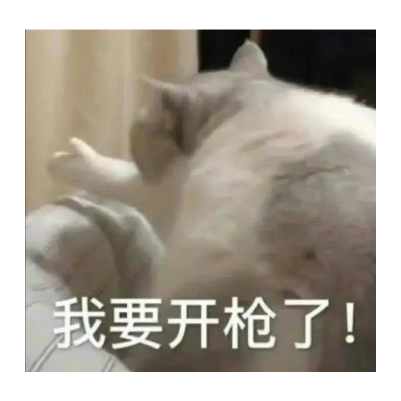 ʕ •ᴥ•ʔ Shi(._.)