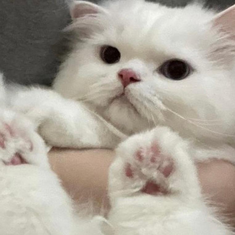 我在东北玩泥巴