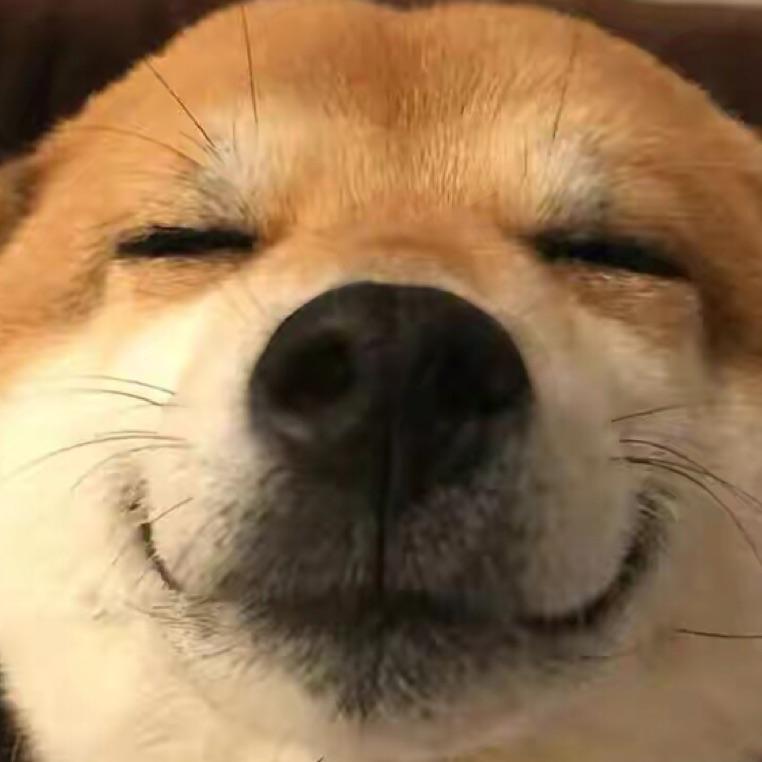 活该你胖
