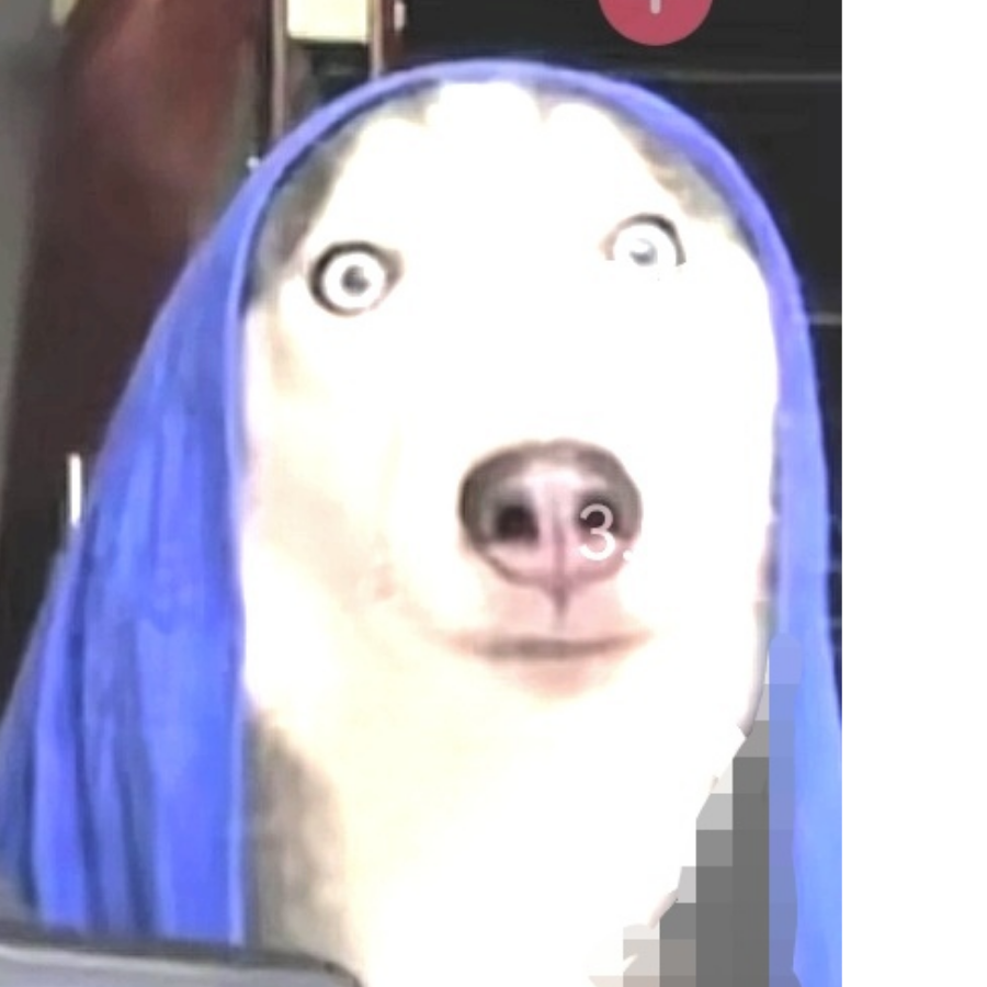 。。。。。。。
