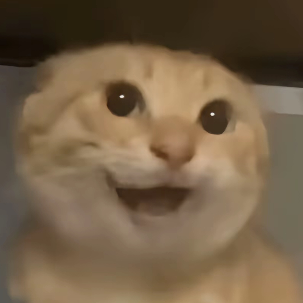 小y