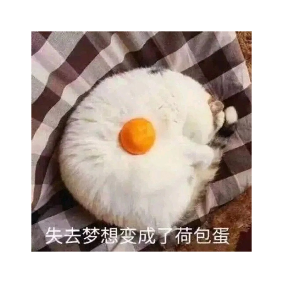 呵呵。。。