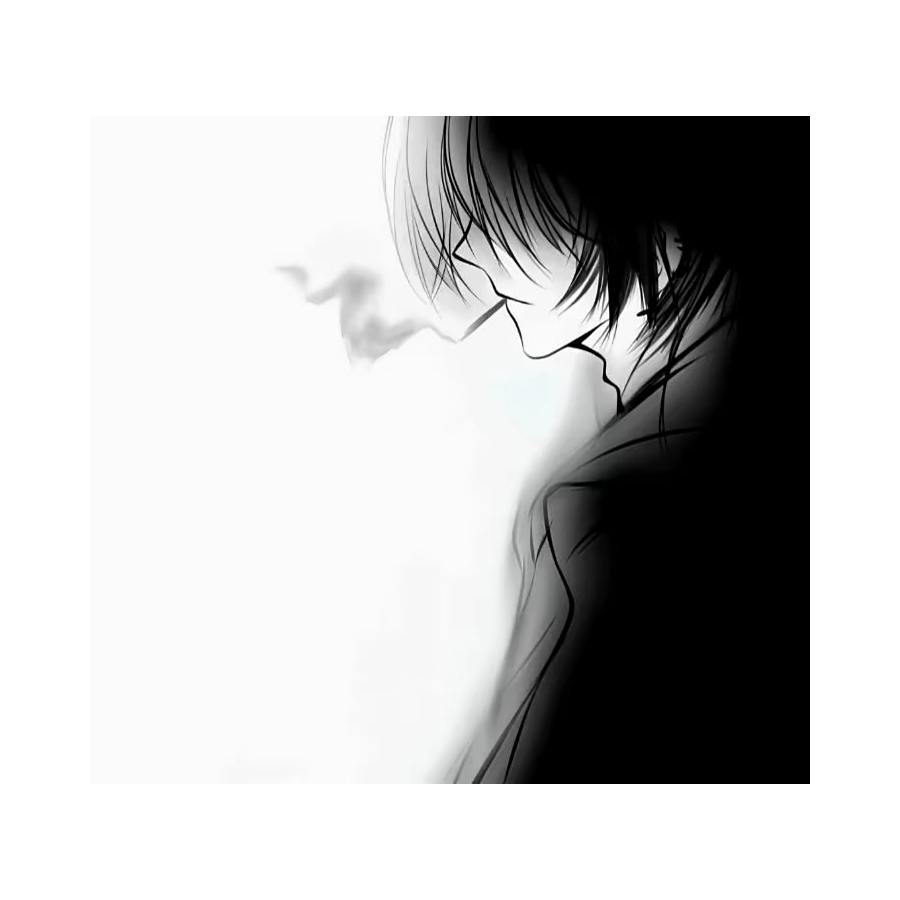 v4255722555