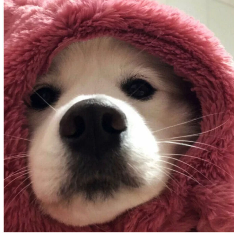 ✾͡琼南ೄ೨