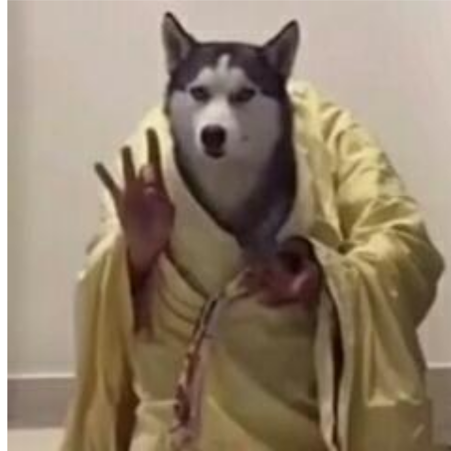 老狗