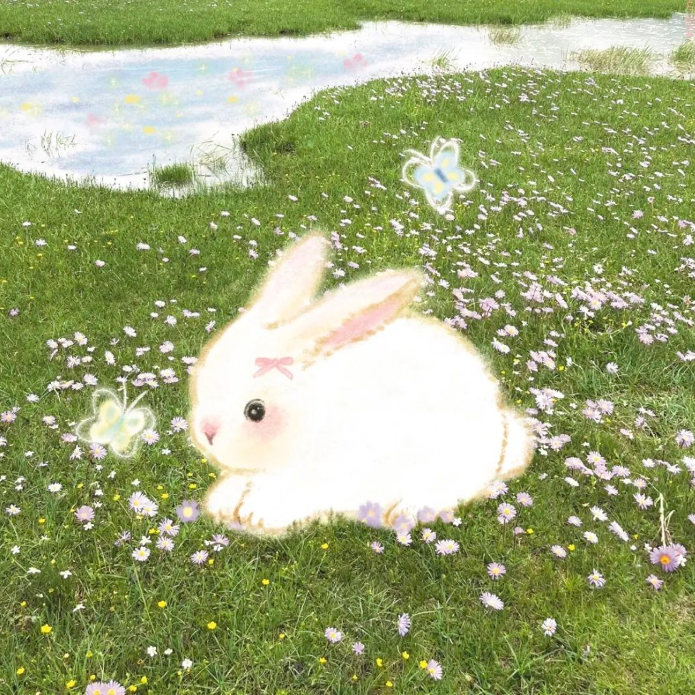 聂静静