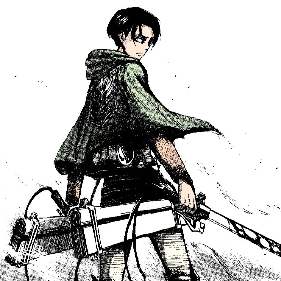 Levi