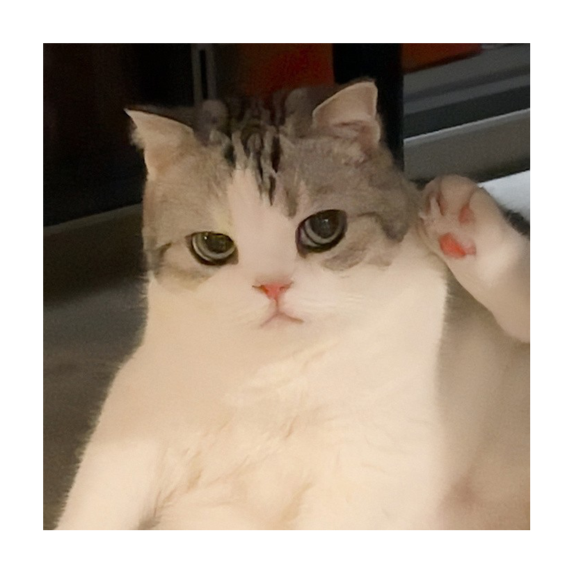 夜半