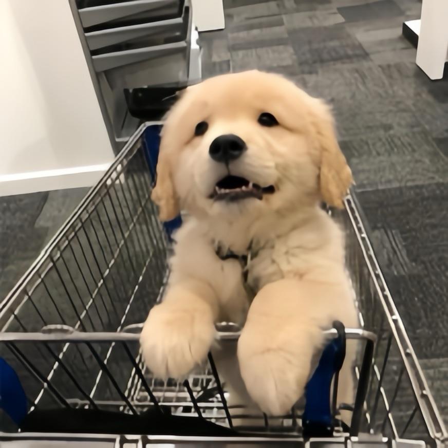"-"
