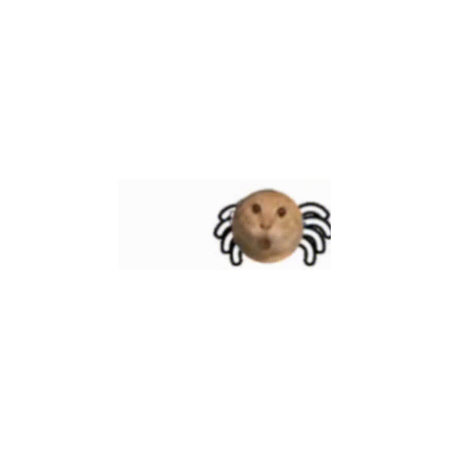 洛野