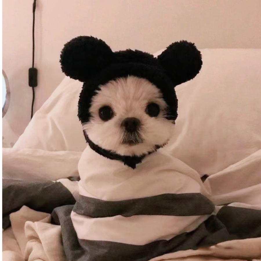 哦。