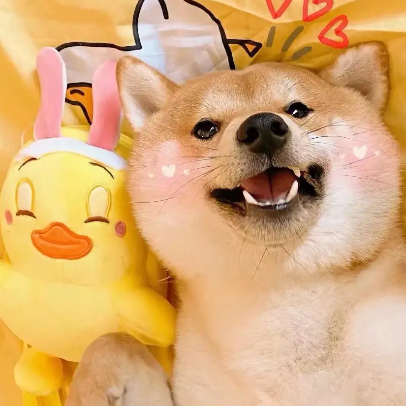 一只小阿杰