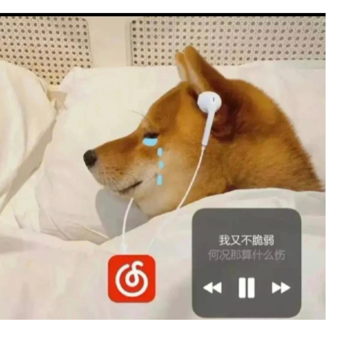 笙晟昇