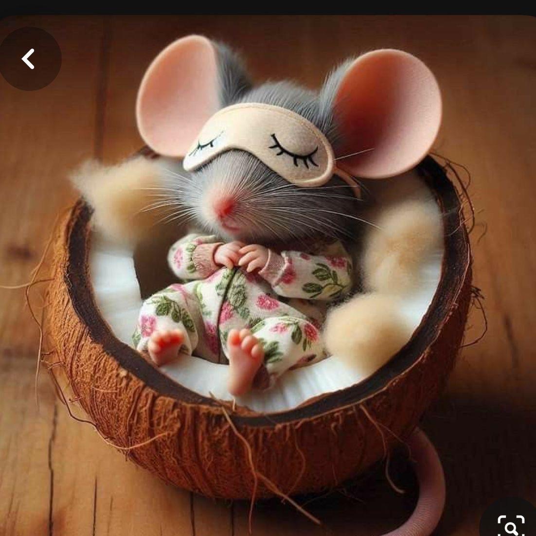 有智慧的伯爵