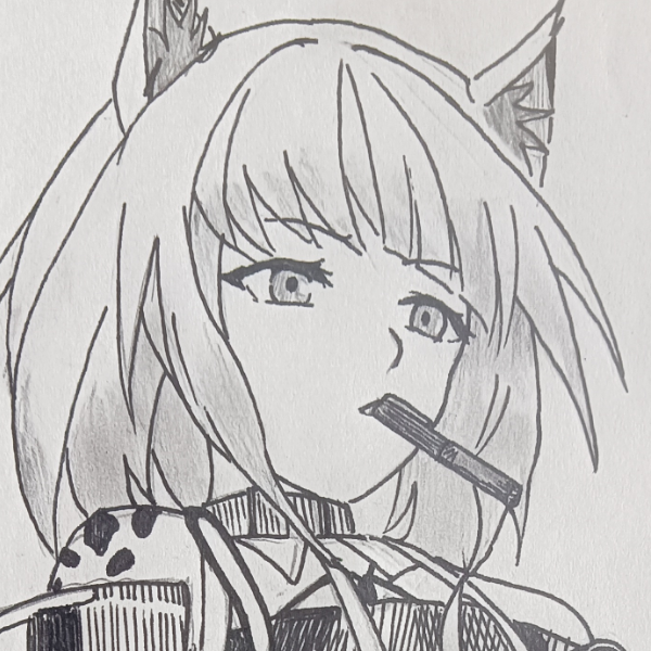 老猫抄你家