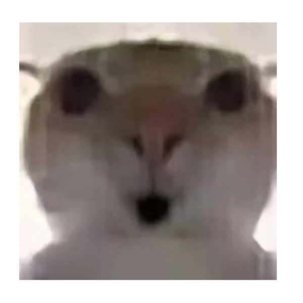 九迹