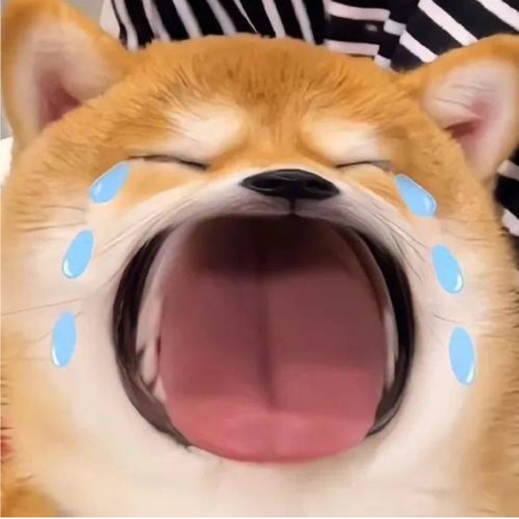 滔