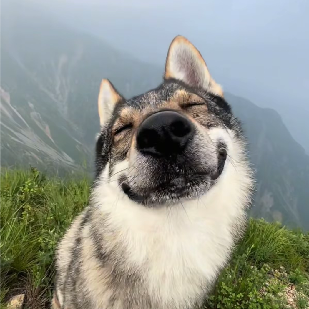 王林