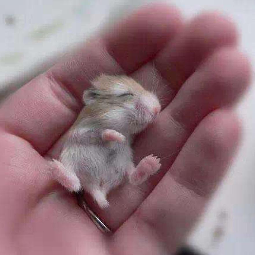 丿Dream丨永恒